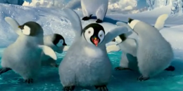 test vdo